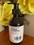  DẦU GỘI THẢO MỘC HERBAL SHAMPOO LE+CARE 
