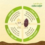  Cơm gạo lứt đỏ dinh dưỡng 
