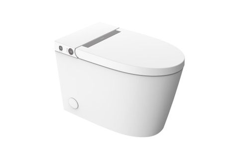  Bồn cầu thông minh 