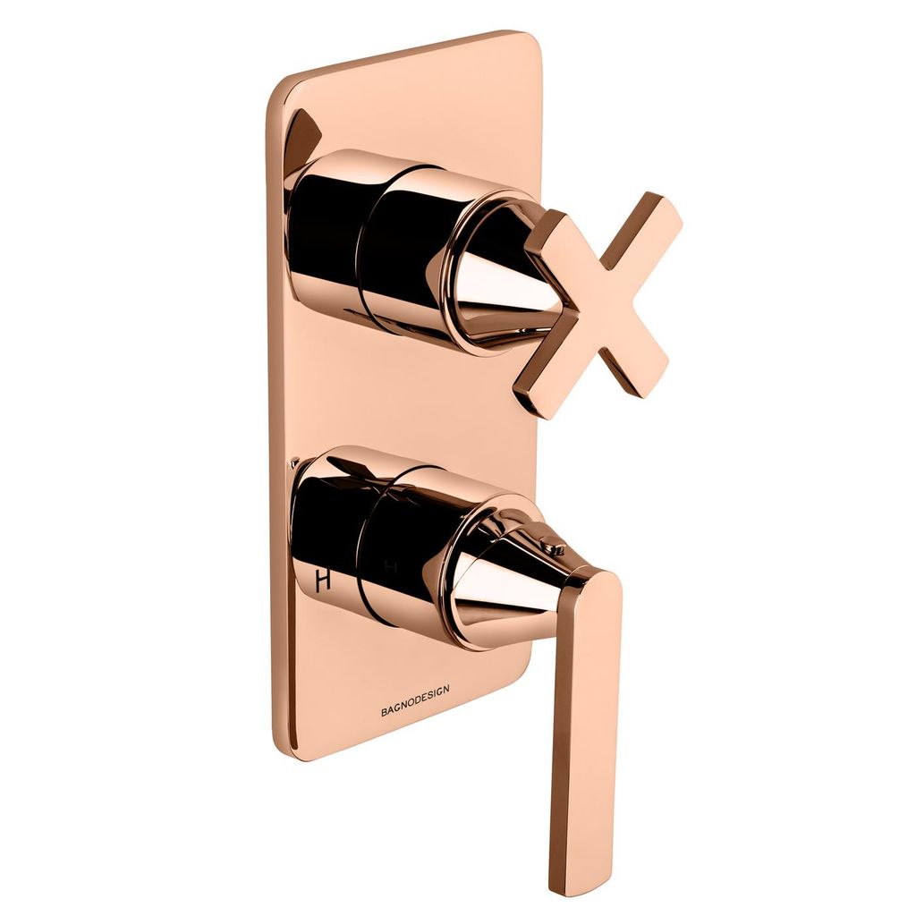 Bộ trộn vòi hoa sen âm Bristol với bộ chuyển hướng 2 hướng