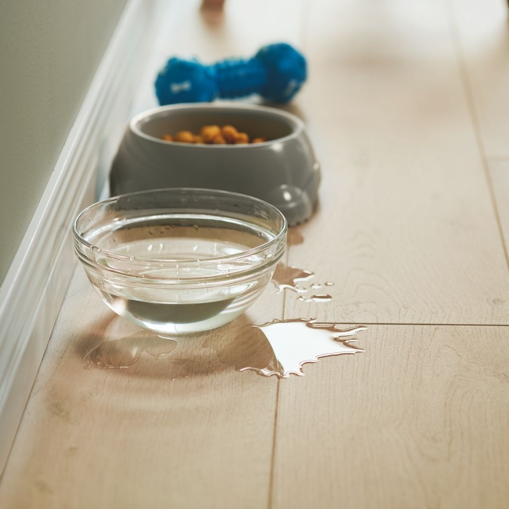 Sàn gỗ Laminate Pergo Coastal Oak - L0331-03374