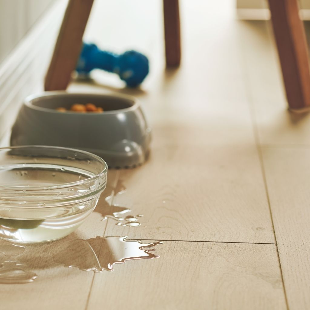 Sàn gỗ Laminate Pergo Coastal Oak - L0331-03374