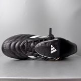 COPA GLORO II TURF - IH7302 - 45