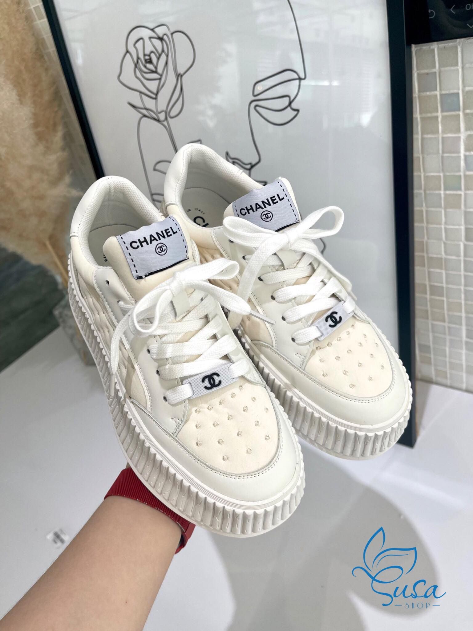 VÁN TRƯỢT NGƯỜI LỚN 3108MH #46 VÁN TRƯỢT NGƯỜI LỚN 3108MH