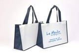  Lemoulin Non-Woven Bag With Straps 