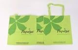  Papaya Non-Woven Bag With Straps 