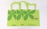  Papaya Non-Woven Bag With Straps 