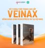  Vớ điều trị suy giãn tĩnh mạch Veinax 