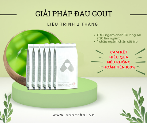 Giải pháp dành cho người bị GOUT - Liệu trình 2 tháng