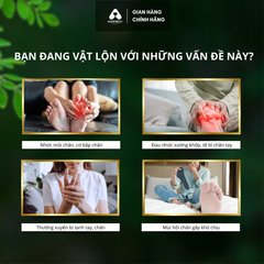 Dầu lăn Giảm Đau Mỏi