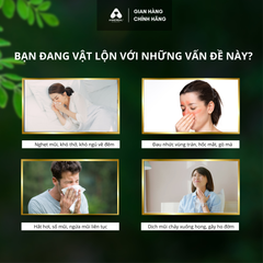 Dầu lăn Thông Mũi Nhẹ Xoang Ngăn Ngừa Covid