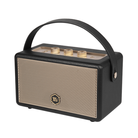 Loa Bluetooth Alpha Works W88