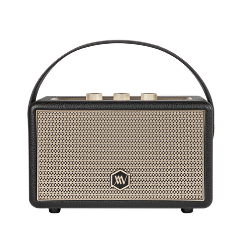 Loa Bluetooth Alpha Works W88