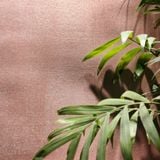  Sơn vải nhung ánh kim 