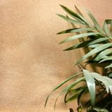  Sơn vải nhung ánh kim 