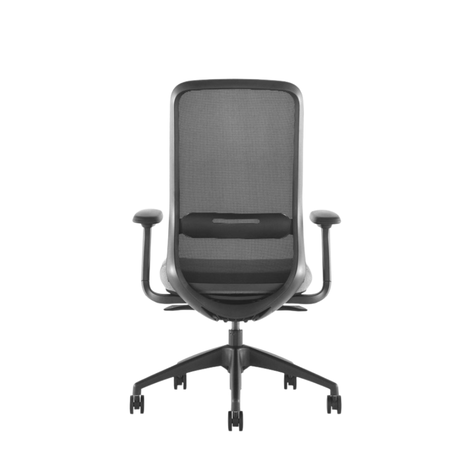 Khyn Chair / Zenith