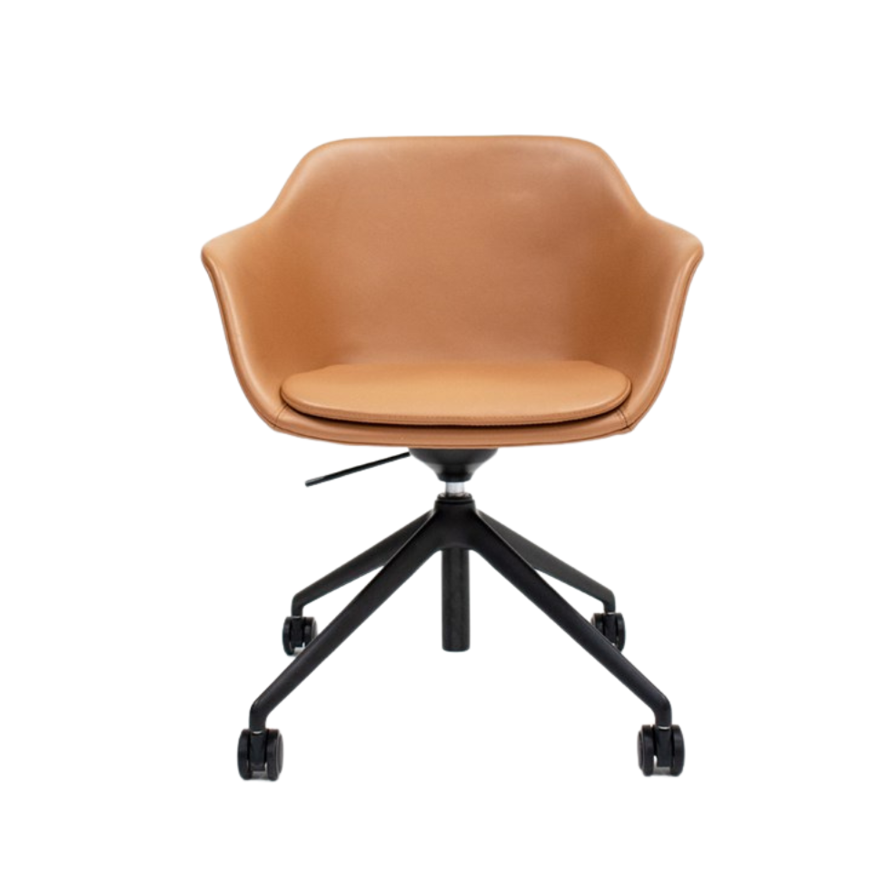 JAC Chair / Zenith