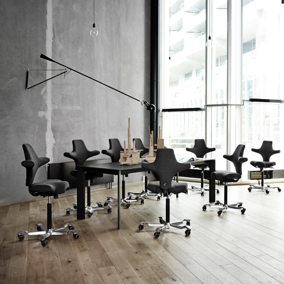 HAG Capisco 8106 / Flokk