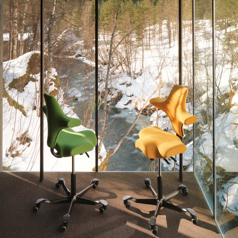 HAG Capisco 8106 / Flokk