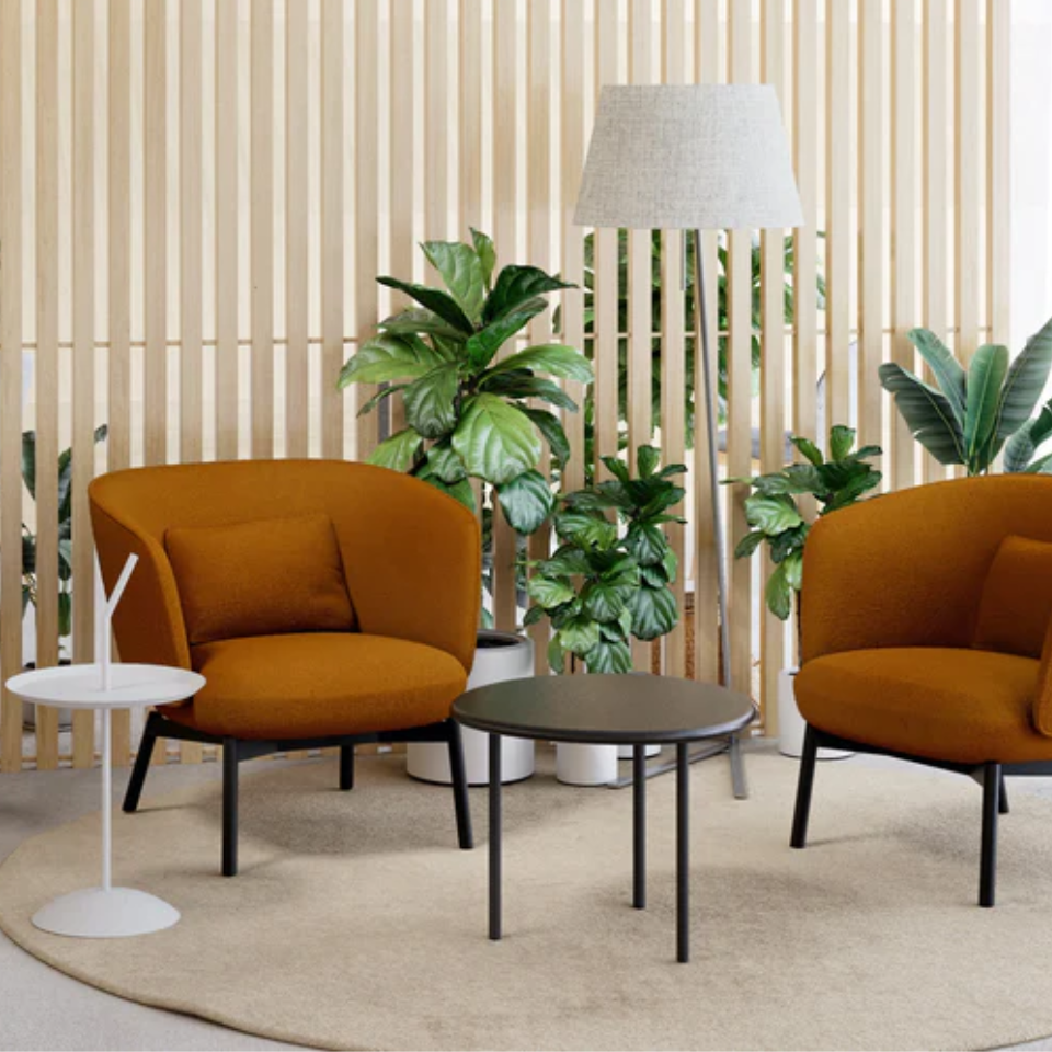 Beos Chair / Grado