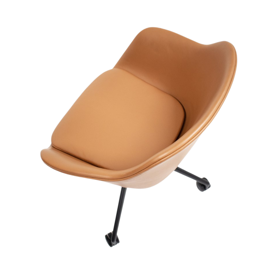 JAC Chair / Zenith