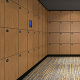  Smart Locker / Fonzel 