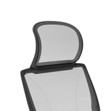  World One Chair / Humanscale 
