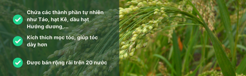 New Nordic Hair Volume Shine Serum