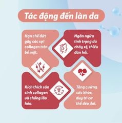Viên Uống DHC Coenzyme Q10 Chống Lão Hóa, Ngừa Nếp Nhăn 30 Ngày 60 Viên