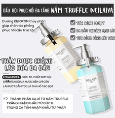 Bộ Gội Xả Weilaiya Phục Hồi White Truffle Lightness 450ml x 2