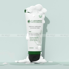 Sữa Rửa Mặt Caryophy Portulaca Cleansing Foam 3 In 1 Ngừa Mụn