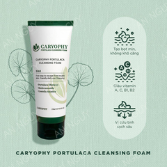 Sữa Rửa Mặt Caryophy Portulaca Cleansing Foam 3 In 1 Ngừa Mụn