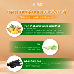 Gel Gội - Xả Hữu Cơ Gừng Sả Cocayhoala 50gr