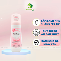 Bọt Vệ Sinh Phụ Nữ Femfresh Foam Wash 150ml