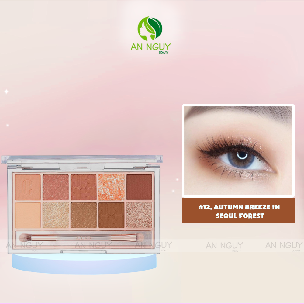 Phấn Mắt 10 Ô Clio Pro Eye Palette (Phiên Bản Vỏ Trong) 0.6gr x 10