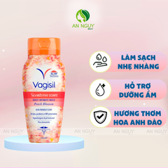 Dung Dịch Vệ Sinh Vagisil Daily Intimate Wash 240ml