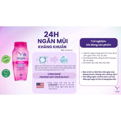 Dung Dịch Vệ Sinh Vagisil Daily Intimate Wash 240ml