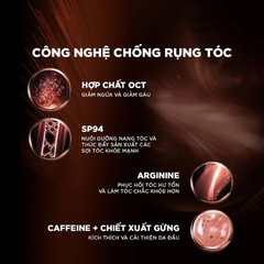 Dầu Gội L'Oreal Paris Full Resist Purifying Shampoo Giảm Rụng Tóc 440ml
