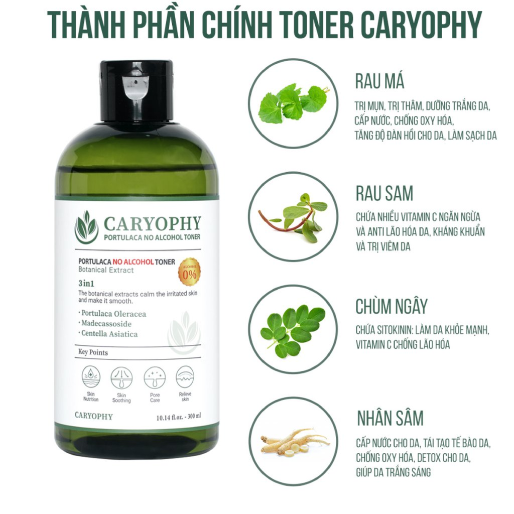 Nước Hoa Hồng Caryophy Portulaca Toner Ngừa Mụn, Kiểm Soát Dầu 300ml