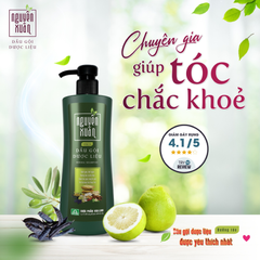 Dầu Gội Dược Liệu Nguyên Xuân Herbal Shampoo Sạch Gàu, Giảm Gãy Rụng