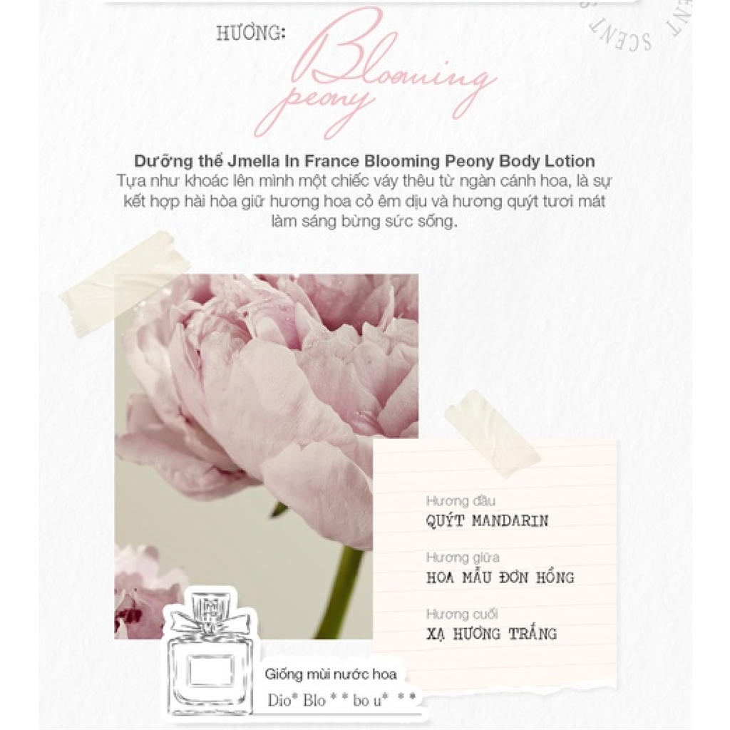 Sữa Dưỡng Thể Jmella In France Body Lotion 500ml