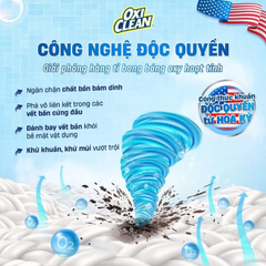 Bột Giặt Tẩy Đa Năng Oxi Clean Multi - Purpose Stain Remover 30g