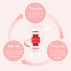 Kem Chống Nắng Cell Fusion C Toning Sunscreen 100 SPF 50+ PA++++ Dưỡng Sáng, Nâng Tông Da 50ml