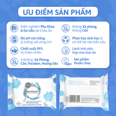 Khăn Ướt Vệ Sinh Vùng Kín Femfresh Intimate Skin Care Wipes
