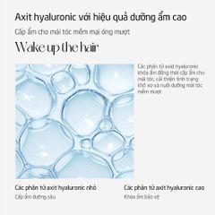 Dầu Gội Spes Shampoo Làm Sạch Tóc Và Da Đầu