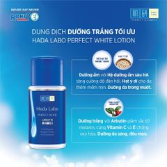 Dung Dịch Hada Labo Perfect White Arbutin Lotion Dưỡng Trắng, Ẩm Mịn 100ml