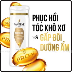 Dầu Gội Và Xả Pantene PRO-V 2in1 355ml (Hàng Mỹ Nhập Khẩu)