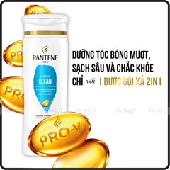 Dầu Gội Và Xả Pantene PRO-V 2in1 355ml (Hàng Mỹ Nhập Khẩu)