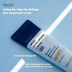 Kem Dưỡng Ẩm Wellage Real Hyaluronic 100 Cream Làm Dịu, Phục Hồi Da 50ml