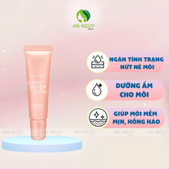 Tinh Chất Dưỡng Môi Senka Perfect Aqua Lip Essence Cấp Ẩm, Ngăn Ngừa Khô, Nứt Nẻ Môi 10gr